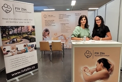 Wish for a baby paris     